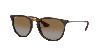 Ray-Ban RB4171 Erika 54 Eyesize sunglasses