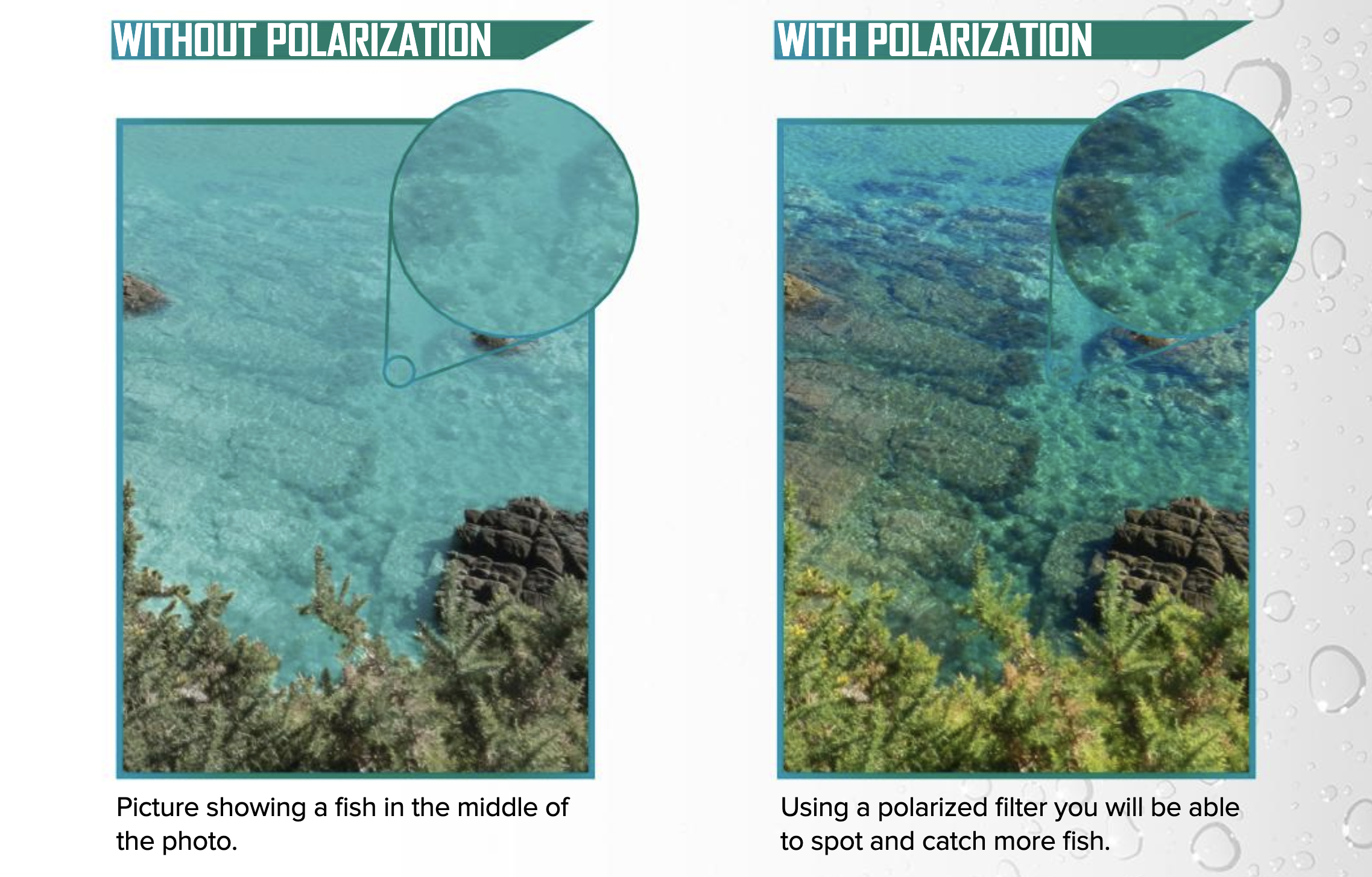 Do Polarized Sunglasses Help You See Fish? | SportRx.com - Transforming  your visual experience.